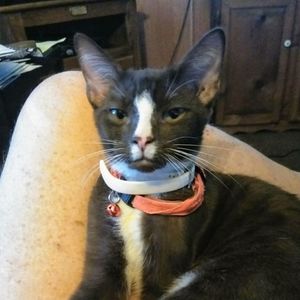 Meet your Posher, Jeffrey